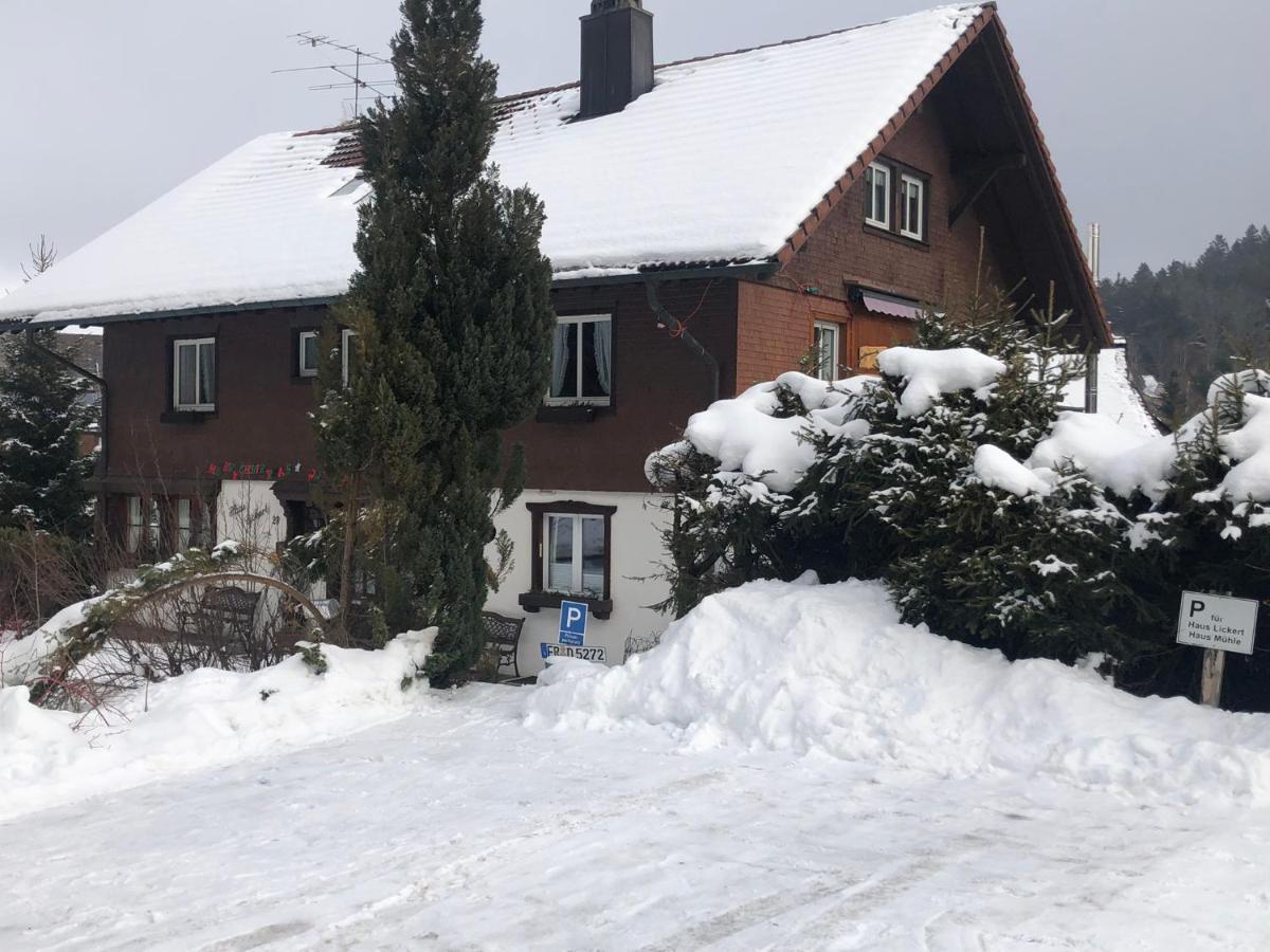 Gaestehaus Lickert Familie Dreher Hinterzarten Luaran gambar