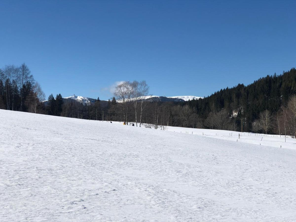 Gaestehaus Lickert Familie Dreher Hinterzarten Luaran gambar